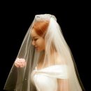 이사벨 카카오 검색결과