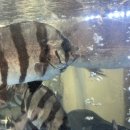 현해탄수산 이미지