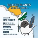 식집사마켓 이미지