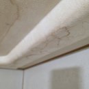 세븐일레븐 여수돌산청솔점 | 엘리트빌딩케어 l 여수 청솔1차 니코틴청소