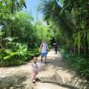 옥현농장 | 베트남 푸꾸옥 맛집 프옹남 레스토랑 반일관광 코스 현지식당 방문 후기