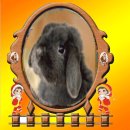 ♣한국의 100대 부자들 ♣ 이미지