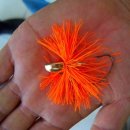 백운주유소 이미지