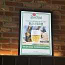 루원시티 타코 퀘사디아 맛집 추천 ‘타코몰리 루원시티점‘ 솔직후기