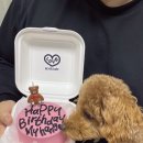 오드투 케이크
