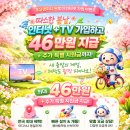 포유컴퍼니