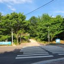 거해농장 | 금호동 백숙은 대봉농장!!:)