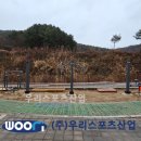 공리천 이미지