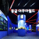 라스코동굴벽화 광명 동굴전 이미지