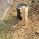 연홍농장 이미지