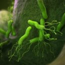 데일리연합의원 이미지