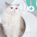 코코가방 이미지