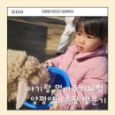 기선목장 | 주말 아기랑 먹이주기체험 양평양떼목장 다녀온 후기