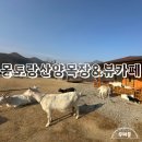 효자목장 | 몽토랑산양목장&amp;뷰카페 강원도 태백 여행 목장 카페 추천