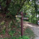 월평 삼거리 이미지