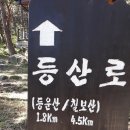 청명산악회 2019년 12월 영덕 칠보산,등운산 송년산행 이미지