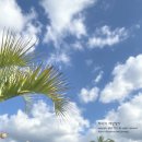 지에스25 서귀장수점 | 오는정김밥 주차장, 라면 편의점 + 중문 더클리프 내돈내산 강추