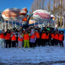 한국체대 비호태권도 이미지