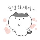 클린 케어(C.L.E.A.N. Care) 이미지