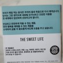 유기농 100% 땅콩버터 테라사나 스무스 크런치 2종류 활용 레시피
