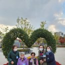 영통데이케어센터 이미지