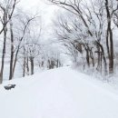 비케이커뮤니케이션즈 이미지