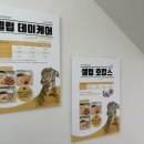 셀럽도기 이미지