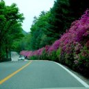 원주 구룡사 삼장보살도 이미지