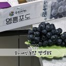 무지개빛농장 이미지