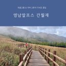 은빛농장 | 영남알프스 간월재 억새 절정 시기부터 초보자 사슴농장 코스 총정리 (대중교통 &amp; 차박 2회차 꿀팁)