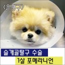 삼송사랑 동물의료센터 이미지