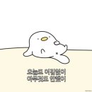 처갓집양념치킨진천 이미지