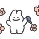 염색커트 이미지