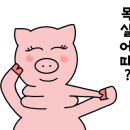 뉴트라이즈 이미지