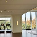 정원사우나 | 제주 그랜드조선힐스위트 수영장 사우나 요가 후기 조식은 실망