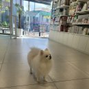 해랑동물병원 이미지