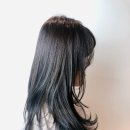 아르미헤어 이미지