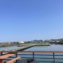 제주/ 아이와 낚시체험 "제주피싱테마파크" 내돈내산 후기(낚고락고)