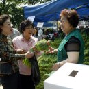 새마을종묘 이미지