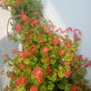 남산정요양병원 이미지