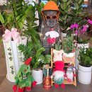 동부그린근린공원1 이미지