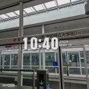 마루티샵 | 중2, 초3 딸둘과 함께 한 나고야 지브리파크 프리미엄 후기 (24.05.13)