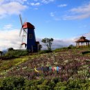 향기원 풍차 이미지