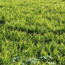 왕궁중학교 이미지