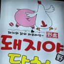 본죽 전주호성점 | 돼지야닭처｜호성동 고기집 고기 맛집 (호성동 맛집)