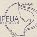 이프아 에스테틱