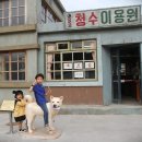 멍멍이 이발관 이미지