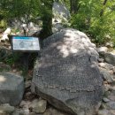 깁밥매니아 이미지