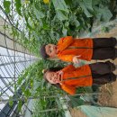 하준농장 이미지