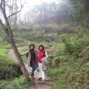 상관유스호스텔 이미지